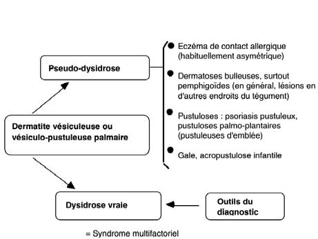 https://www.therapeutique-dermatologique.org/IMG/png/79-Tableau_I.png